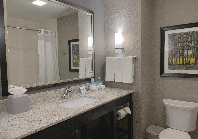 장애인을 위한 킹사이즈 침대 스탠다드 룸, Holiday Inn Express And Suites Madison Central, An Ihg