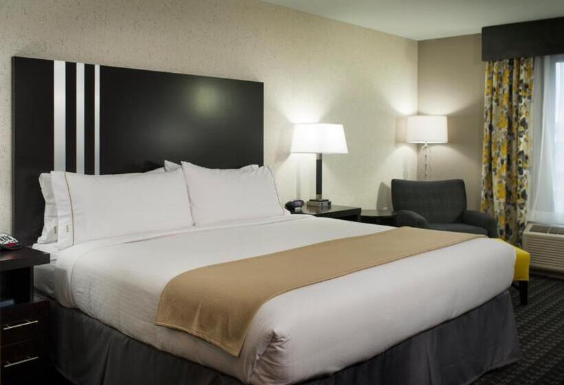 스탠다드 룸 킹사이즈 침대, Holiday Inn Express And Suites Madison Central, An Ihg