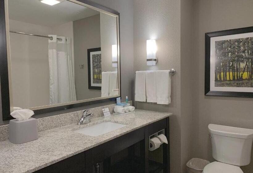 이그제큐티브 스위트, Holiday Inn Express And Suites Madison Central, An Ihg