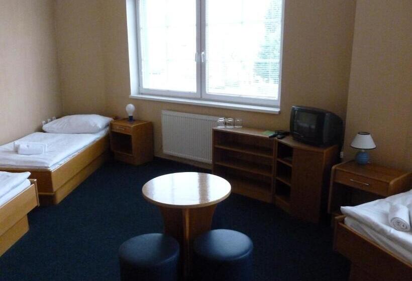 اتاق استاندارد یک نفره, Penzion šenk Pardubice