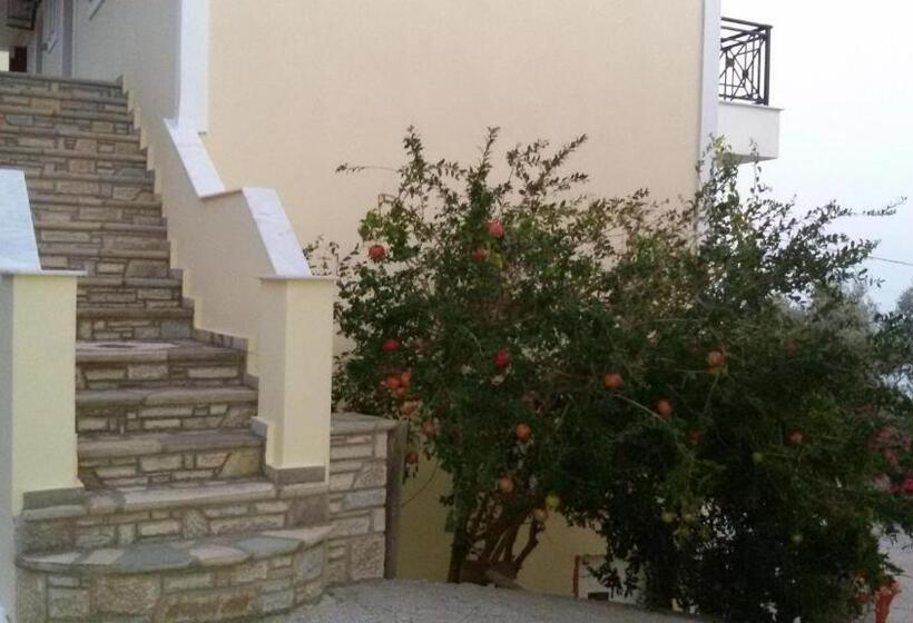 استودیوی استاندارد, Thalina