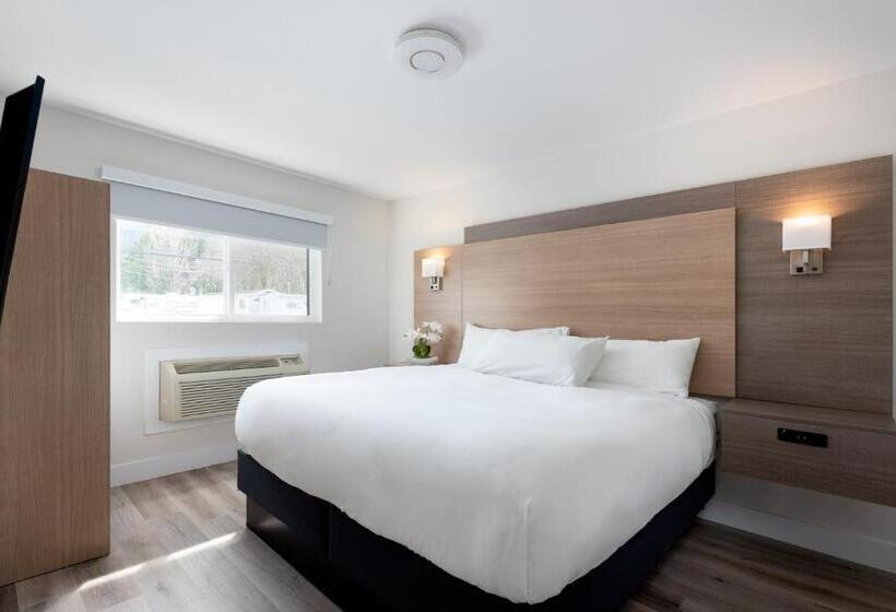 스위트 킹사이즈 침대, Harrison Grand Motel