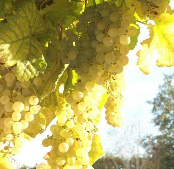 Дом 1 Спальня, Domaine Des Charmilles