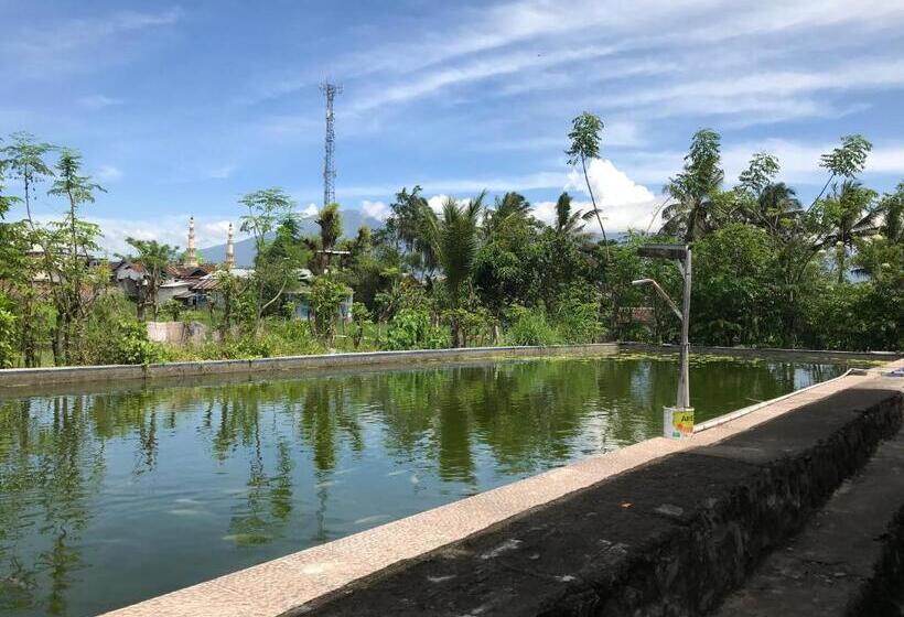 Номер Стандарт Вид на Бассейн, Rinjani Terrace Cottage