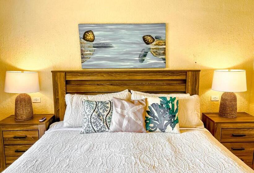 آپارتمان 1 خوابه با چشم‌انداز دریا, Princesa De Penasco Condo C101 Sandy Beach Puerto Penasco