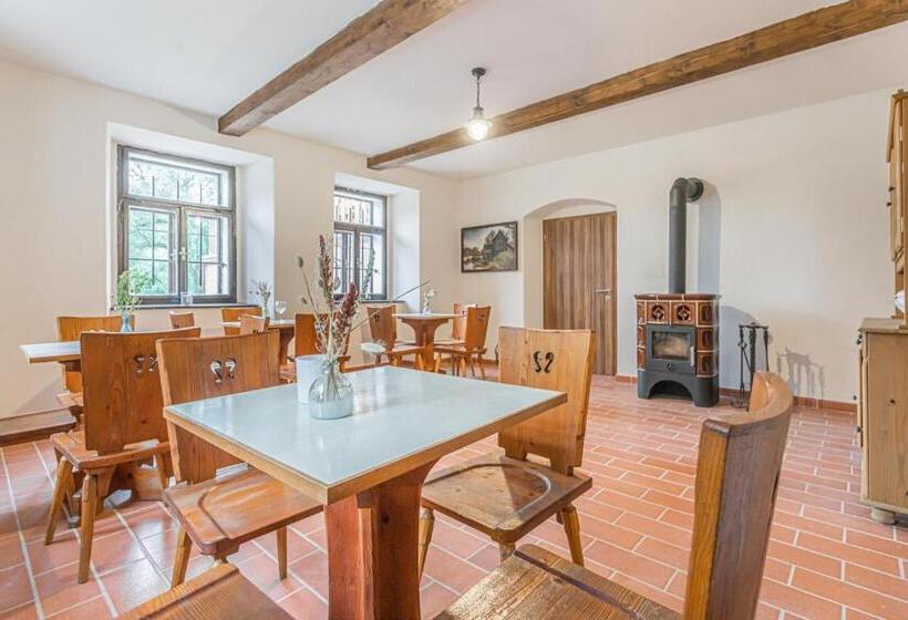 Апартаменты Deluxe 1 Спальня, Buškovský Mlýn 1580