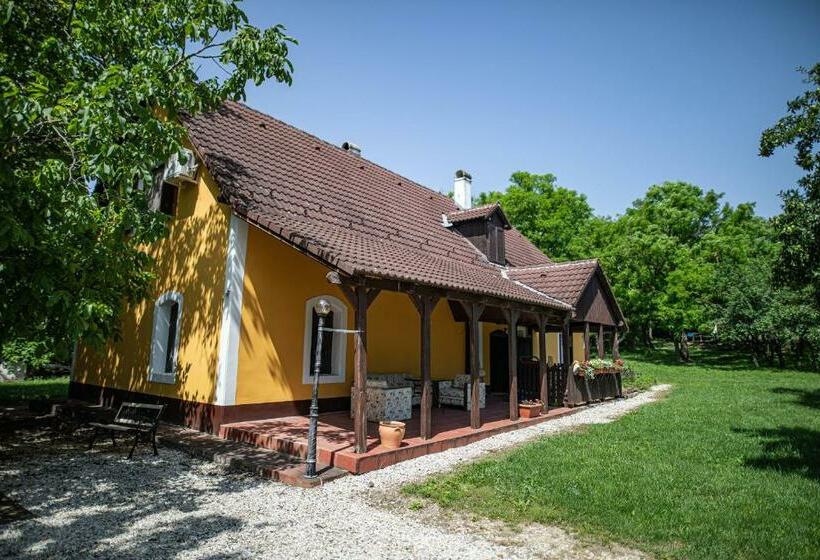 Номер Стандарт Трехместный, Tusculanum Panzió