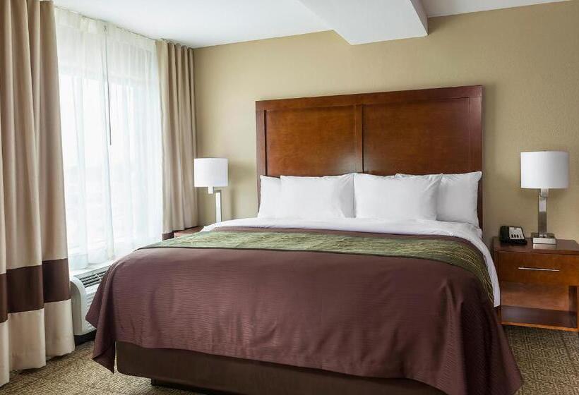 장애인을 위한 스위트, Comfort Inn & Suites West   Medical Center