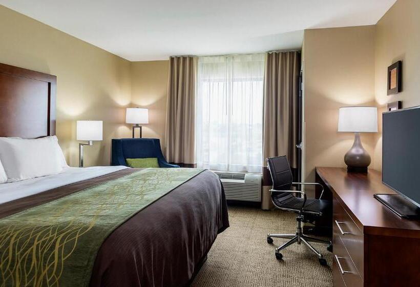 장애인을 위한 킹사이즈 침대 스탠다드 룸, Comfort Inn & Suites West   Medical Center
