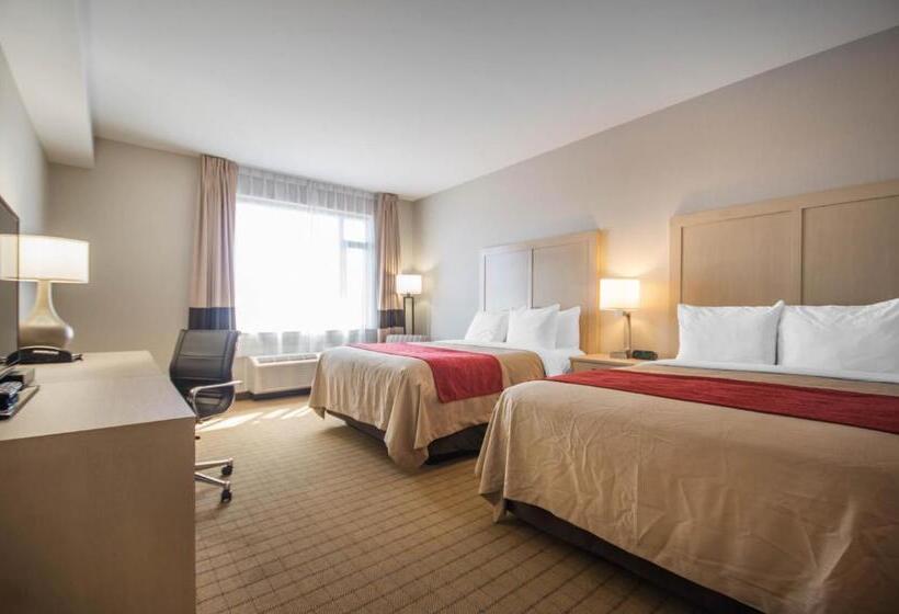 スタンダードルーム, Comfort Inn & Suites