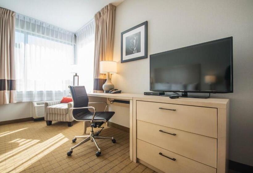 スタンダードルーム, Comfort Inn & Suites