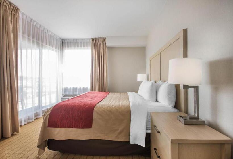 キングサイズベッドのスイートルーム, Comfort Inn & Suites