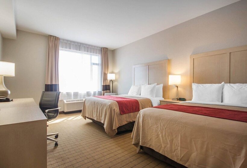 ２ダブルベッドのスタンダードルーム, Comfort Inn & Suites