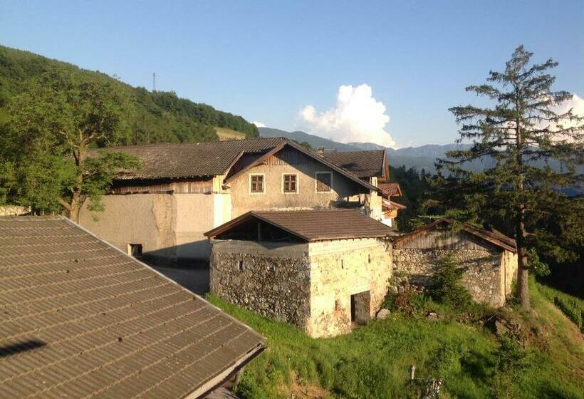 Апартаменты 1 Спальня с Видом, Buehlerhof Agriturismo, Obst &weingut, Urlaub Mit Hund, Pferde, Bauernhof, Brixen