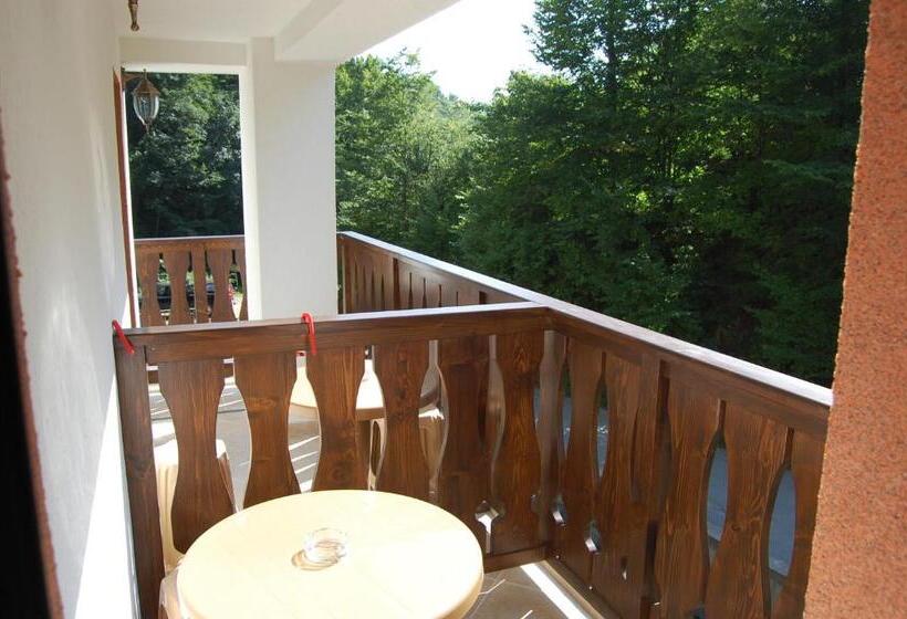 Номер Deluxe, Guest House Savina