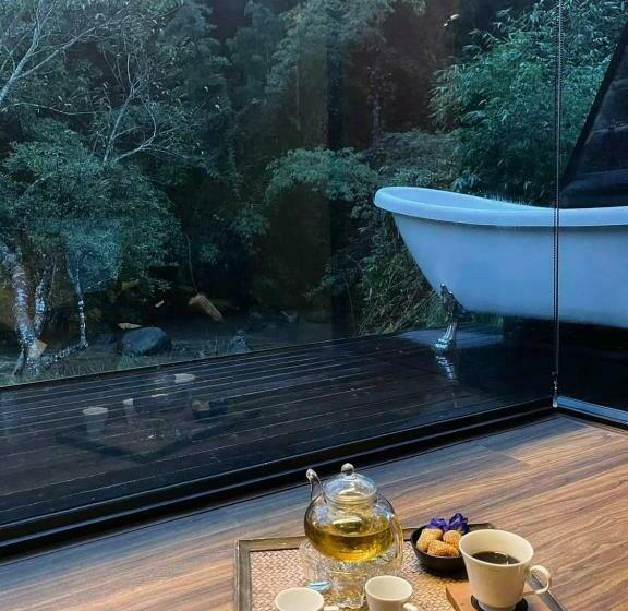Номер Deluxe, Aomlonghomenon