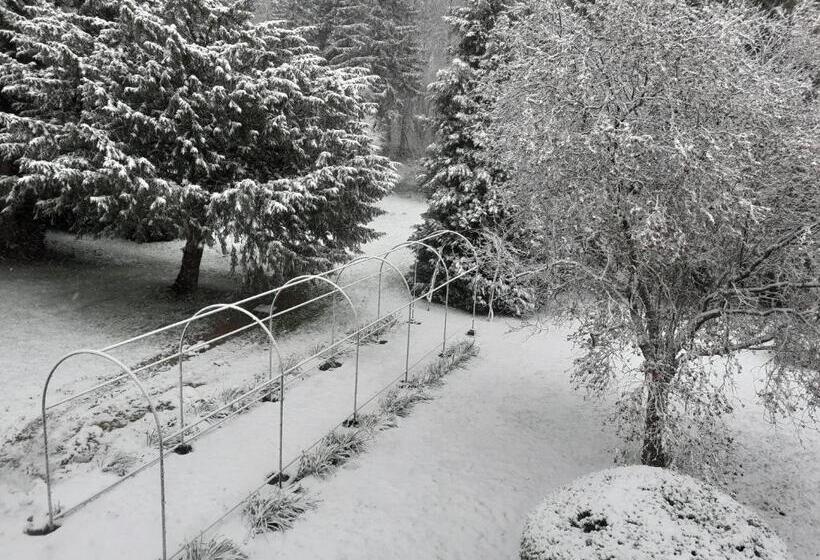 Номер Superior, Manoir De Camblain