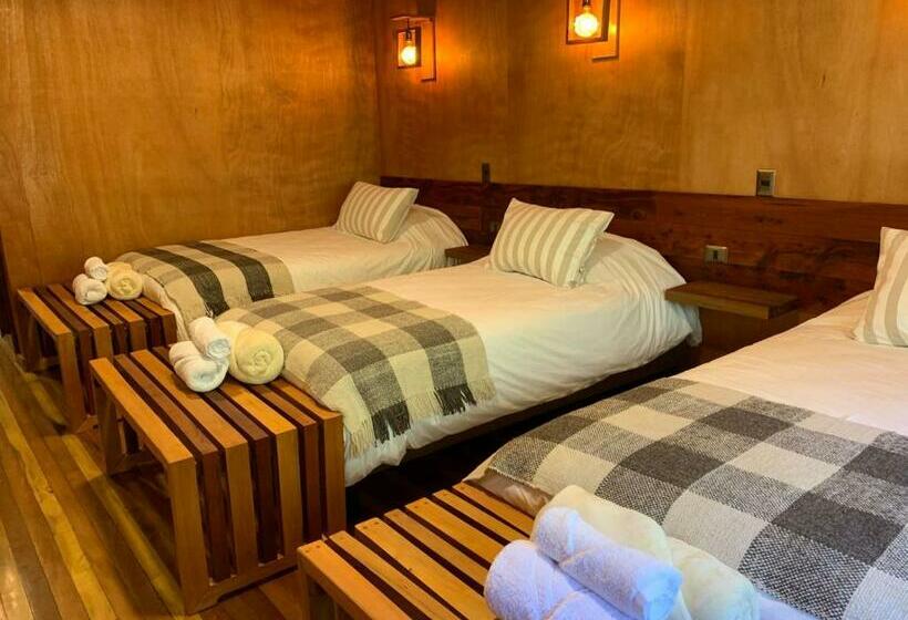 Номер Стандарт Трехместный, Illi Lodge & Hostel