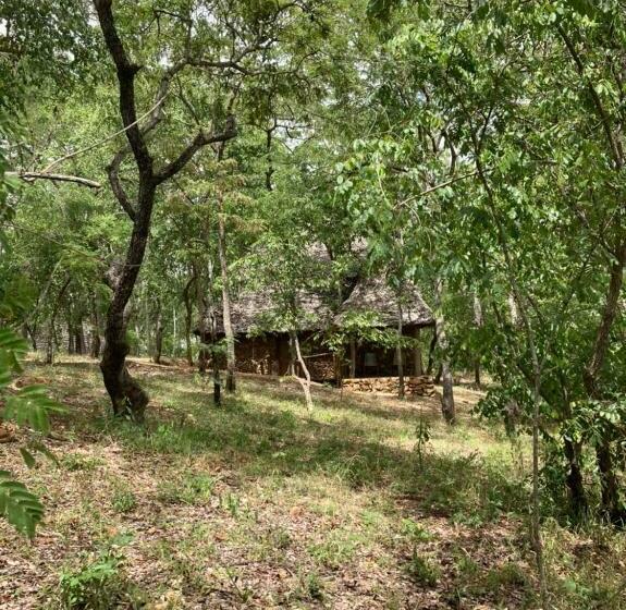 اتاق لوکس, Lemara Eco Camp