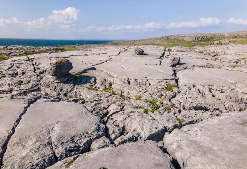 Студио Стандарт с Видом, Into The Burren
