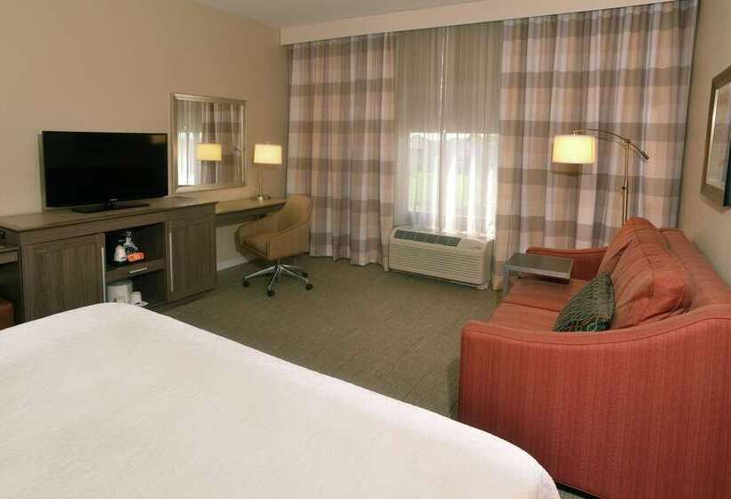 스탠다드 룸 킹사이즈 침대, Hampton Inn Marion