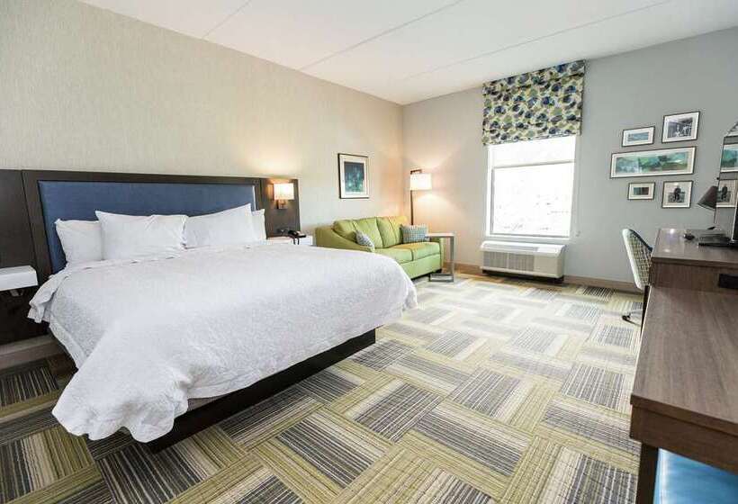스탠다드 룸 킹사이즈 침대, Hampton Inn Marion