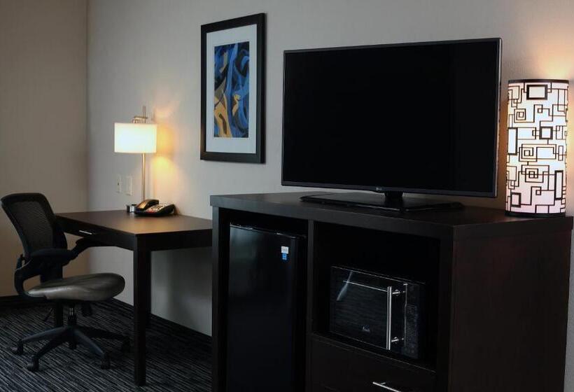 Номер Стандарт, Holiday Inn Express & Suites Omaha South Ralston Arena, An Ihg