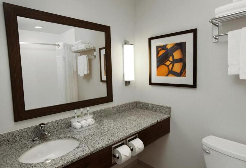 Номер Стандарт Адаптированный для Инвалидов, Holiday Inn Express & Suites Omaha South Ralston Arena, An Ihg