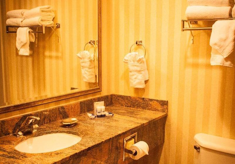 스탠다드 룸, Holiday Inn Express & Suites Raymondville By Ihg