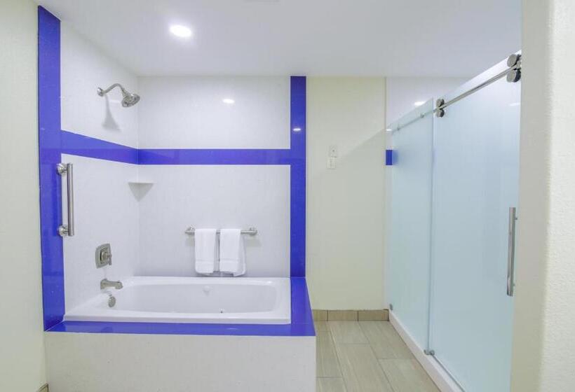 프레지덴셜 스위트, Holiday Inn Express & Suites Raymondville By Ihg