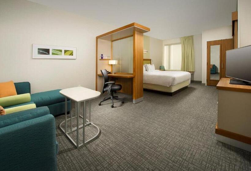 스탠다드 스튜디오 킹침대, Springhill Suites By Marriott Bridgeport Clarksburg