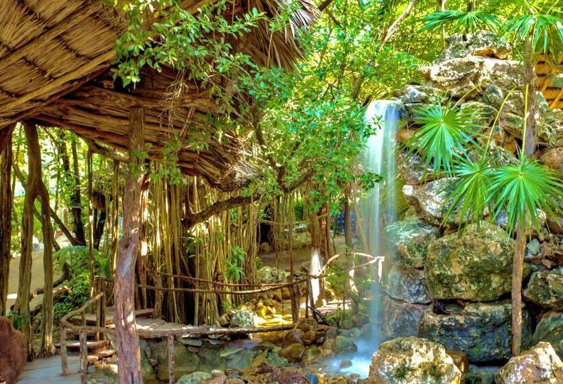 سوئیت 2 خوابه, Xanadu Island Resort
