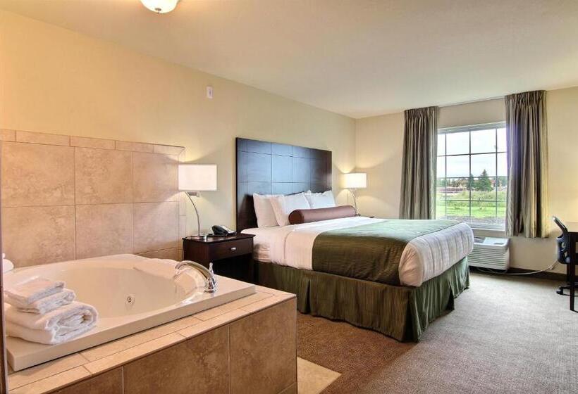 Стандартный Номер Кровать Кинг, Amerivu Inn And Suites   Crookston
