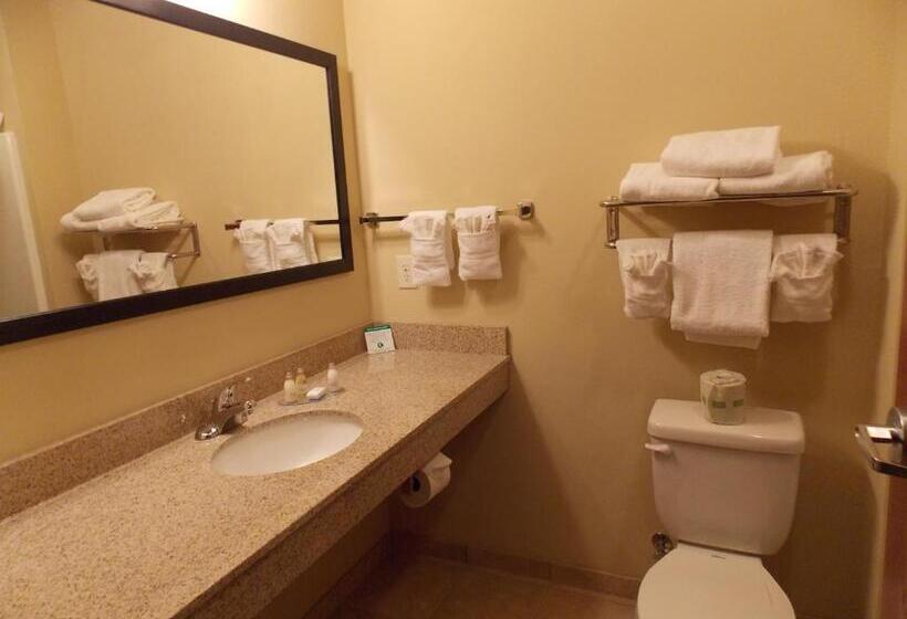 Номер Стандарт, Amerivu Inn And Suites   Crookston