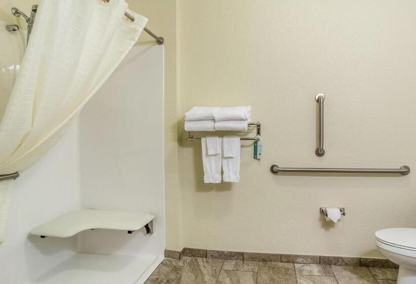 Номер Стандарт Кровать Кинг Адаптированный для Инвалидов, Amerivu Inn And Suites   Crookston