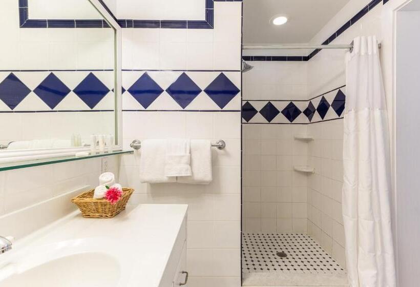スイート, The Cabana Inn Key West  Adult Exclusive