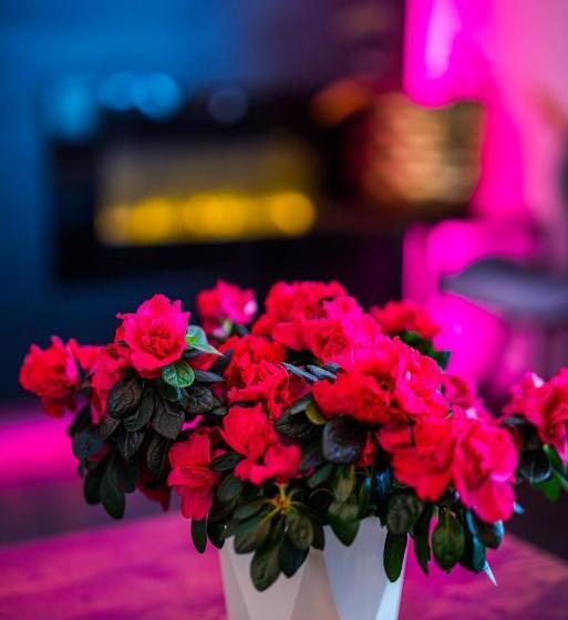 Студия Superior, Glamour   Restaurant & Spa