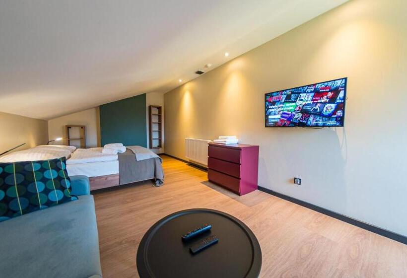 اتاق دوبلکس, Apartamenty Dolina Skrzycznego