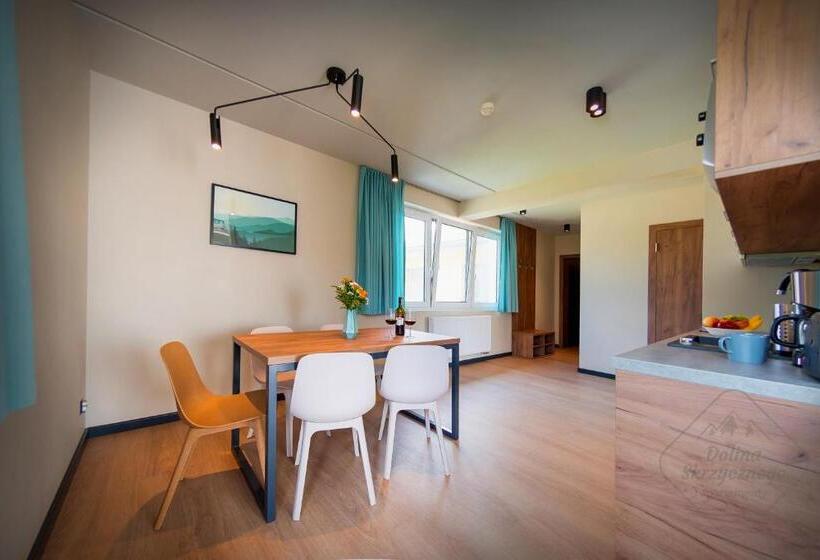آپارتمان دوبلکس 1 خوابه, Apartamenty Dolina Skrzycznego