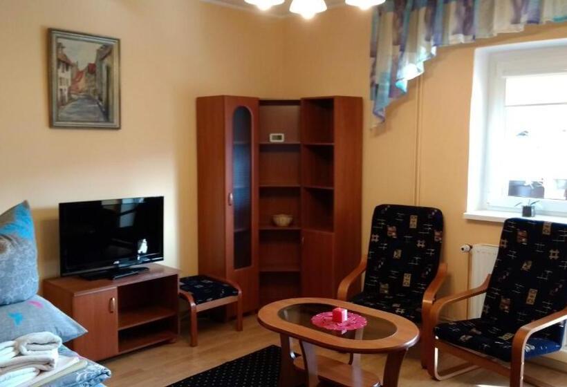 آپارتمان 1 خوابه با چشم‌انداز, Dom Wczasowy Przy Skałkach