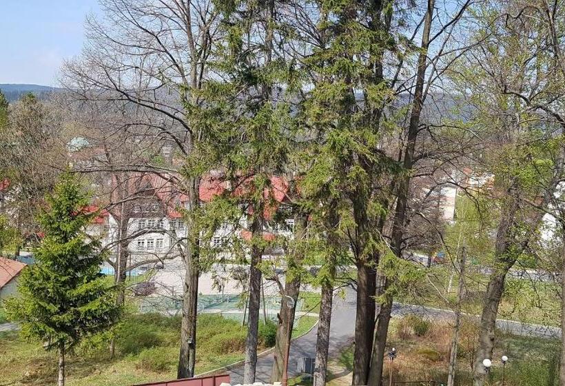 اتاق استاندارد با چشم‌انداز کوهستان, Dom Wczasowy Przy Skałkach