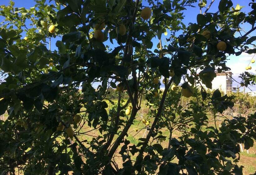 חדר סטנדרט, Azienda Agricola Crilù