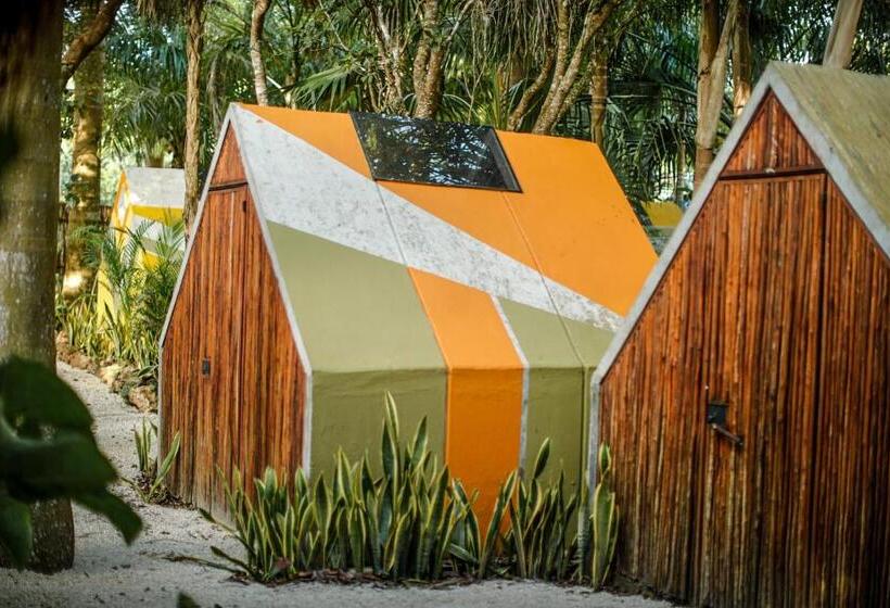 اتاق استاندارد با سرویس بهداشتی مشترک, Glamping Bufo Alvarius Sanctuary Bacalar