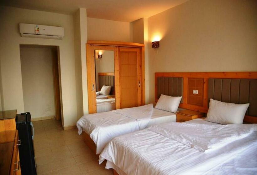 اتاق اکونومی, Zain Dive Inn