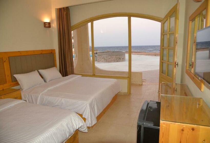 اتاق اکونومی, Zain Dive Inn