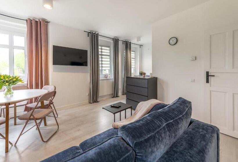 Family Suite, Apartamenty śnieżna 12 Lądek  Zdrój