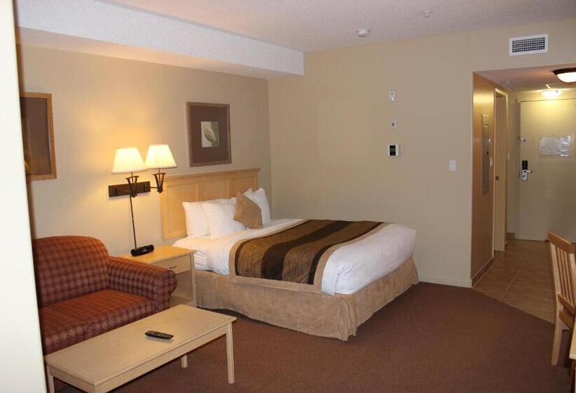 Студия Стандарт, Clearwater Hotel Ltd