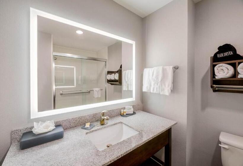 デラックスルーム, La Quinta By Wyndham Fort Worth Eastchase