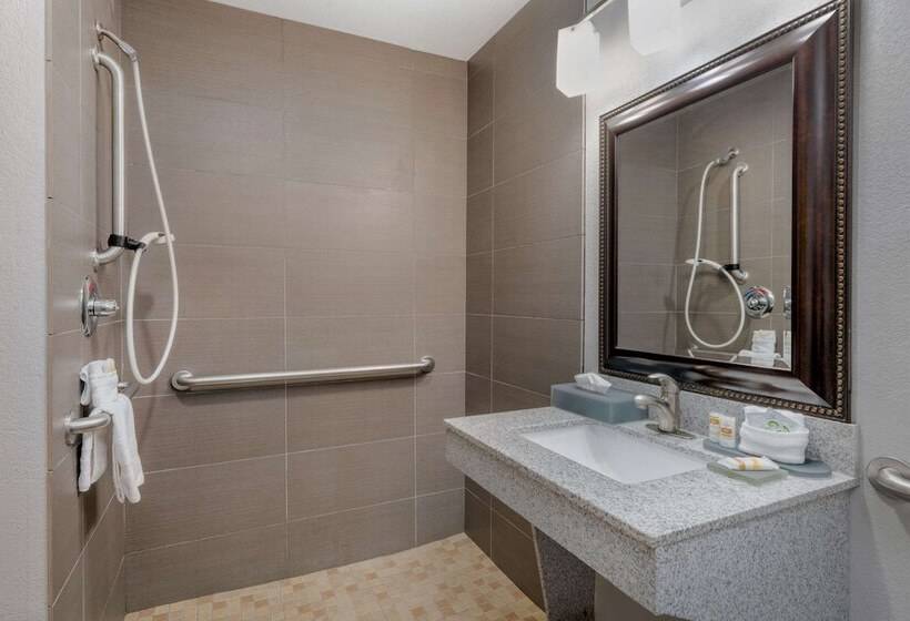 デラックスルーム, La Quinta By Wyndham Fort Worth Eastchase