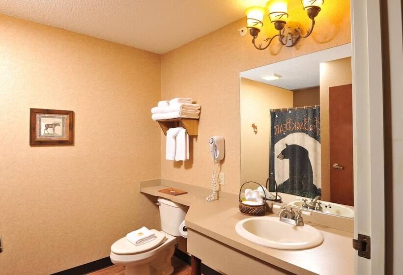 Family Suite, Cedar Creek Hotel Wausau   Rothschild